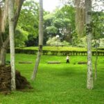 Parque Urbano Curitiba-PR