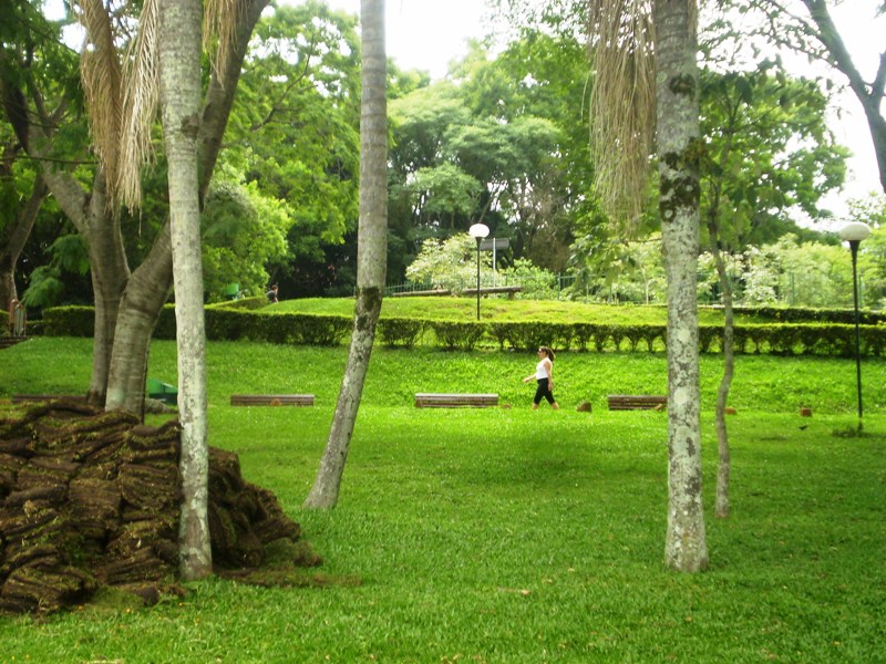 Parque Urbano Curitiba-PR