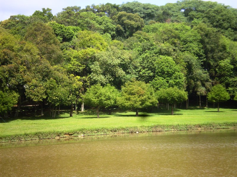 Parque Urbano Curitiba-PR