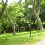 Parque Urbano Curitiba-PR