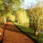 Entrevista: Parque Ecológico Olivo Fortunato Gasparelo
