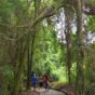 Parque Ecológico de Goioerê