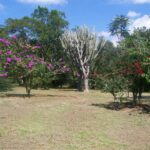 Parque Estadual Lago Azul