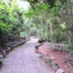 Parque Ecológico de Goioerê