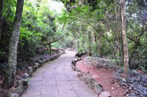 Parque Ecológico de Goioerê