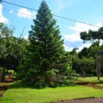 Parque Estadual Lago Azul