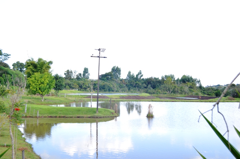 Pesqueiro do Lago - Campina da lagoa