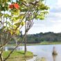 Pesqueiro Recanto do Lago