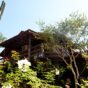 5 lugares incríveis para você ir nas férias