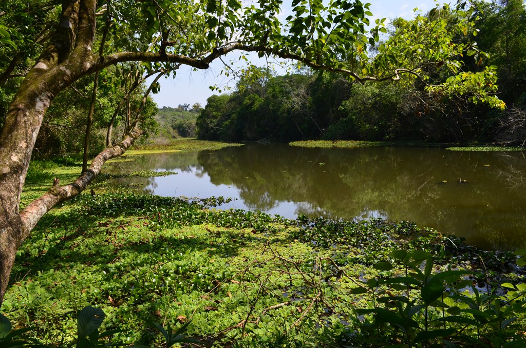 Parque Estadual Vila Rica do Espírito Santo