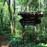 Parque Estadual Vila Rica do Espírito Santo
