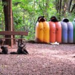 Parque Ecológico de Goioerê