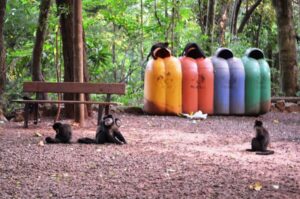 Parque Ecológico de Goioerê