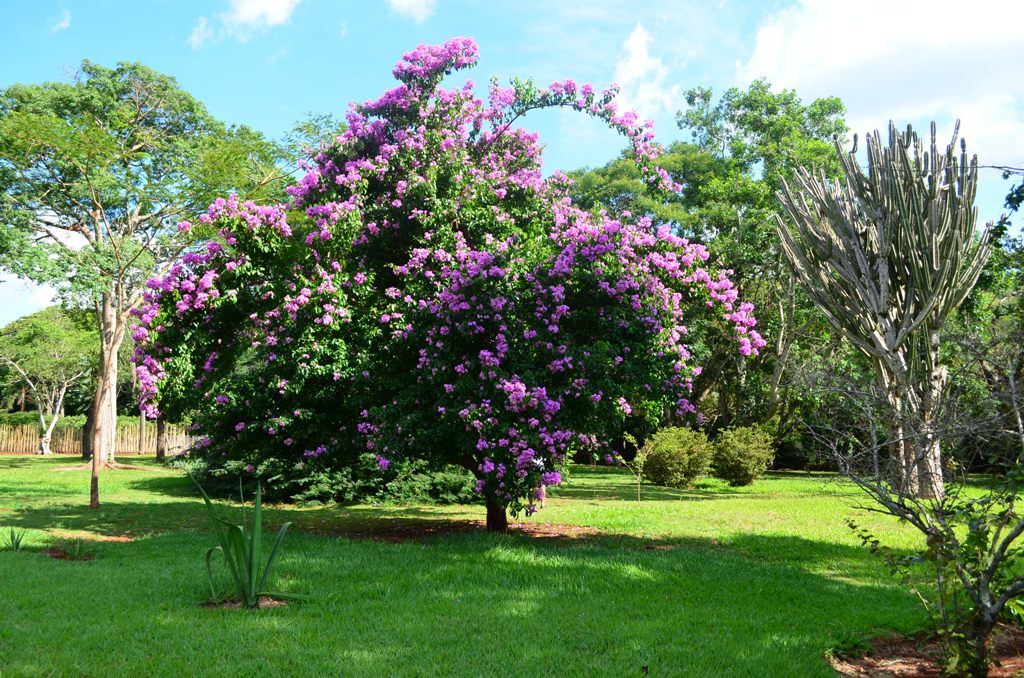 Parque Estadual Lago Azul