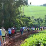 Caminhada na natureza