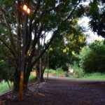 Engenheiro Beltrão- Paraná