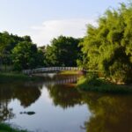 Parque da gruta em Engenheiro Beltrão