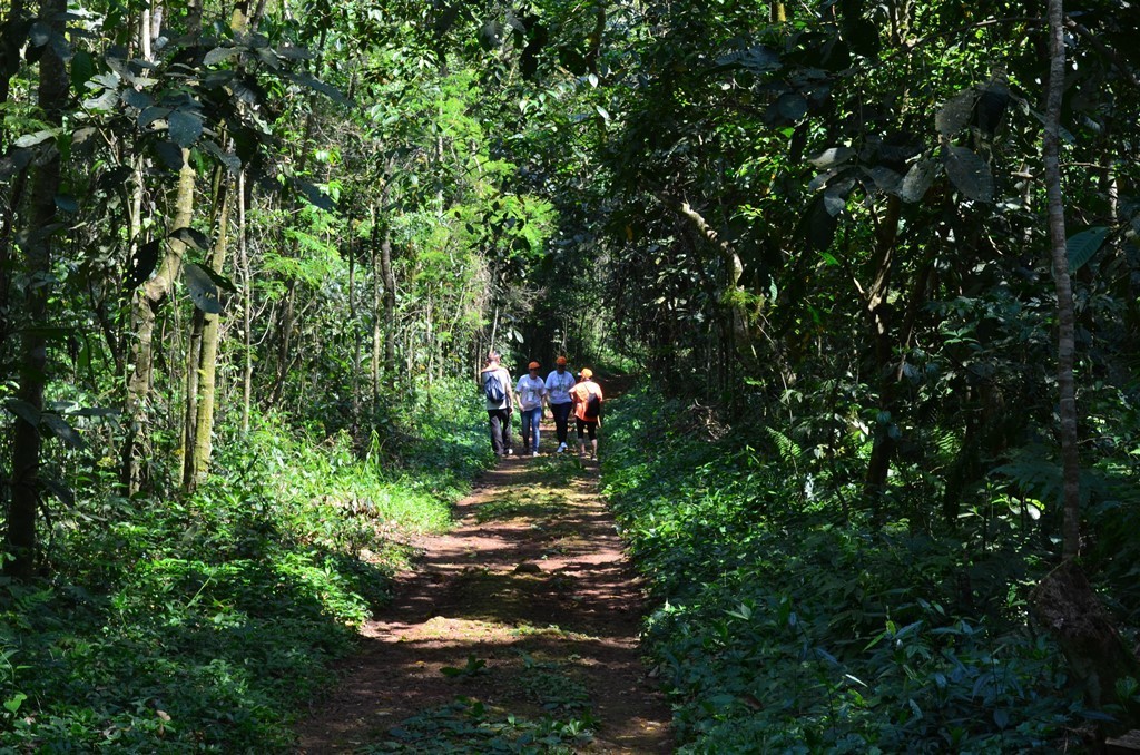 Parque Estadual Vila Rica do Espírito Santo