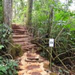 Santuário Boicotó - Caminho de Peabiru / Campo Mourão