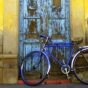 9 motivos para você andar de bicicleta