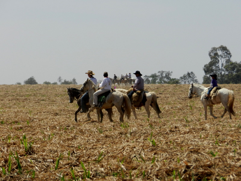 Primeira Cavalgada De Artemis | Foto: caiobilancheri | Retirado de: https://www.flickr.com/photos/49081858@N02/7926014692 | Acesso em: 05 mai. 2017