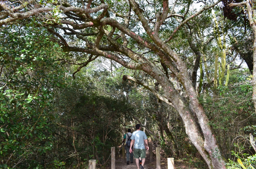 Parque Estadual do Guartelá em Tibagi