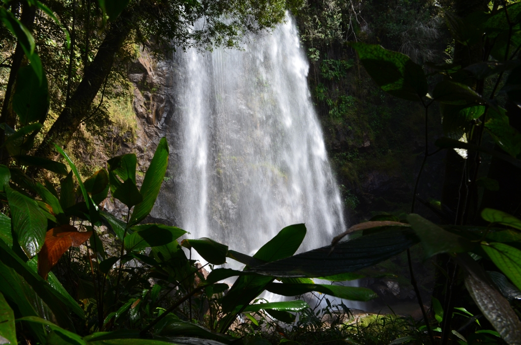 Salto Puxa Nervos em Tibagi