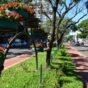 Projeto Novo Centro de Maringá: Breves Considerações