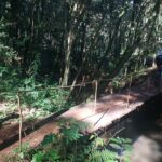 Desafio Adventus -Mamborê
