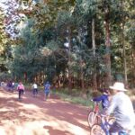 Desafio Adventus -Mamborê