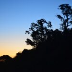 Rodovia BR 369 entre Mamborê e Boa Esperança