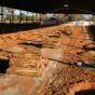Parque de Exposições recebe últimos retoques para a Festa do Carneiro no Buraco