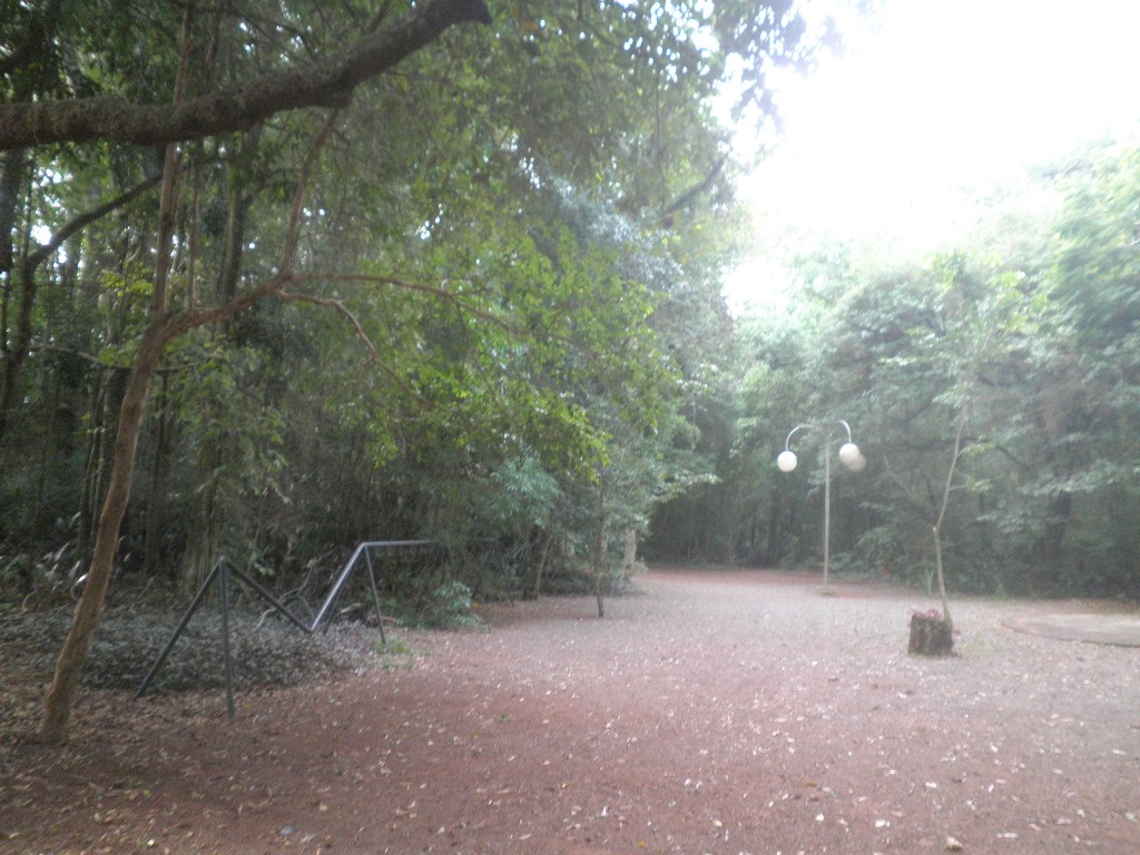 Figura 6 - Pistas e luminárias distribuídas no Parque Municipal Teodoro de Oliveira. Foto: LIMA, J. H. M. de, 2012