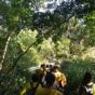 Caminhada na natureza de Boa Esperança reúne centenas de pessoas