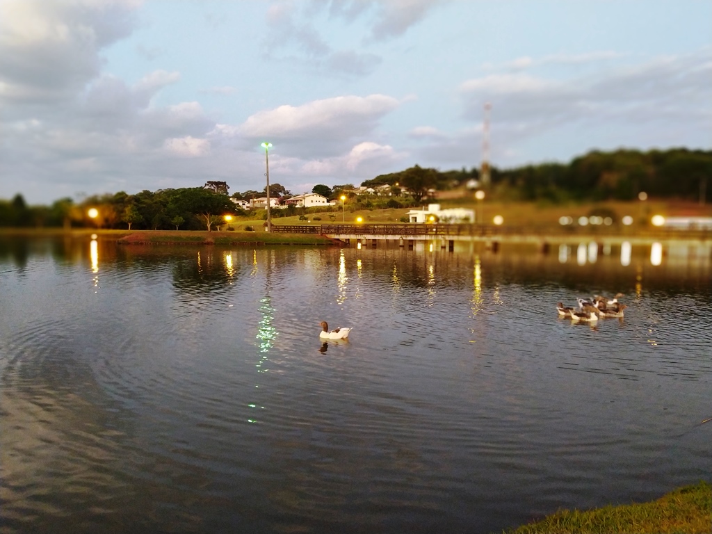 Parque do Lago Mamborê