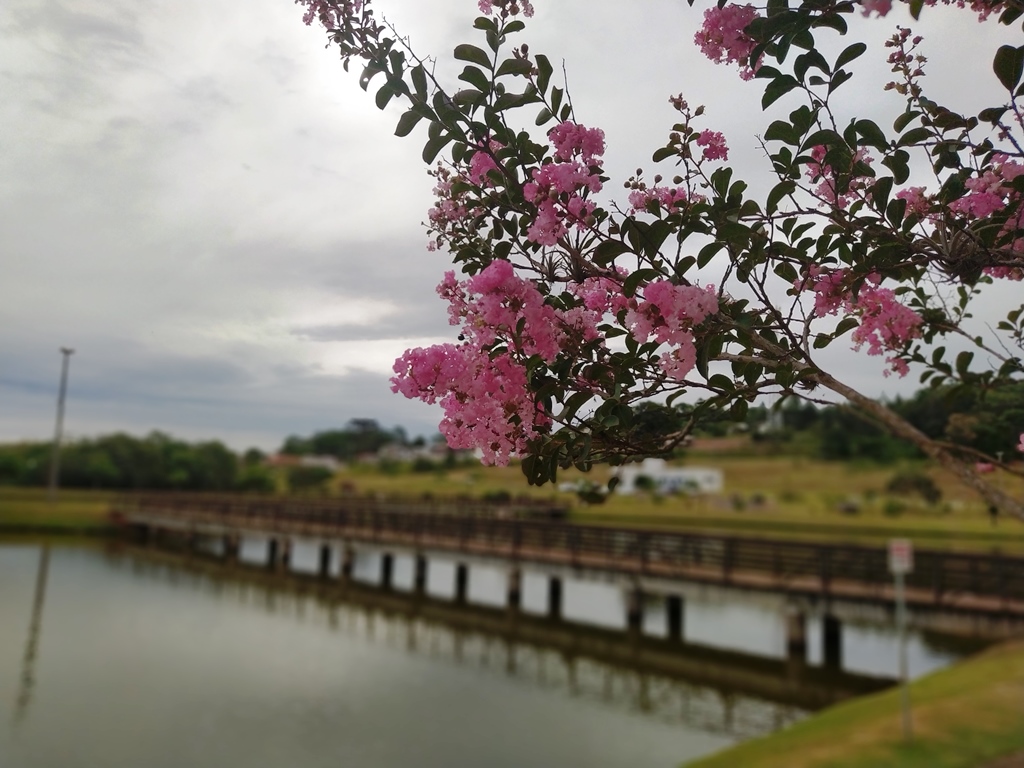 Parque do Lago Mamborê