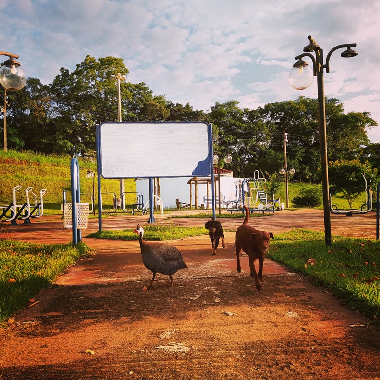 Parque do lago de Mamborê