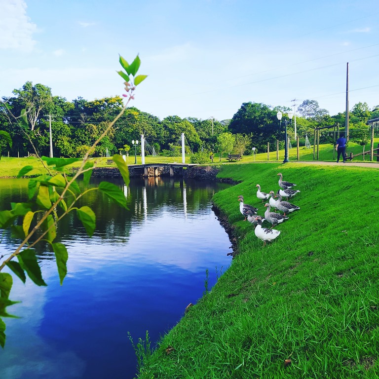 Parque do lago de Mamborê