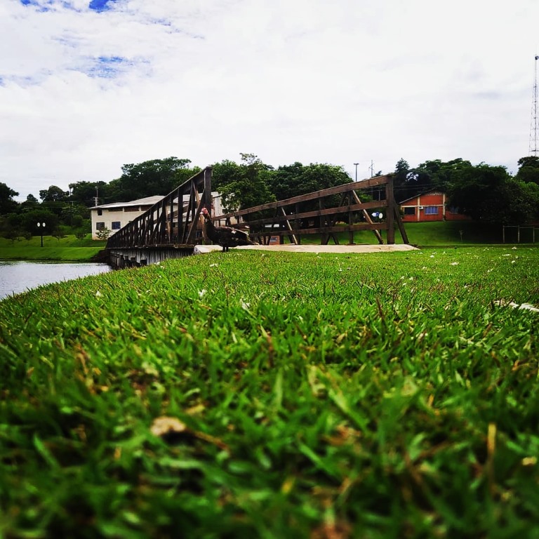 Parque do lago de Mamborê