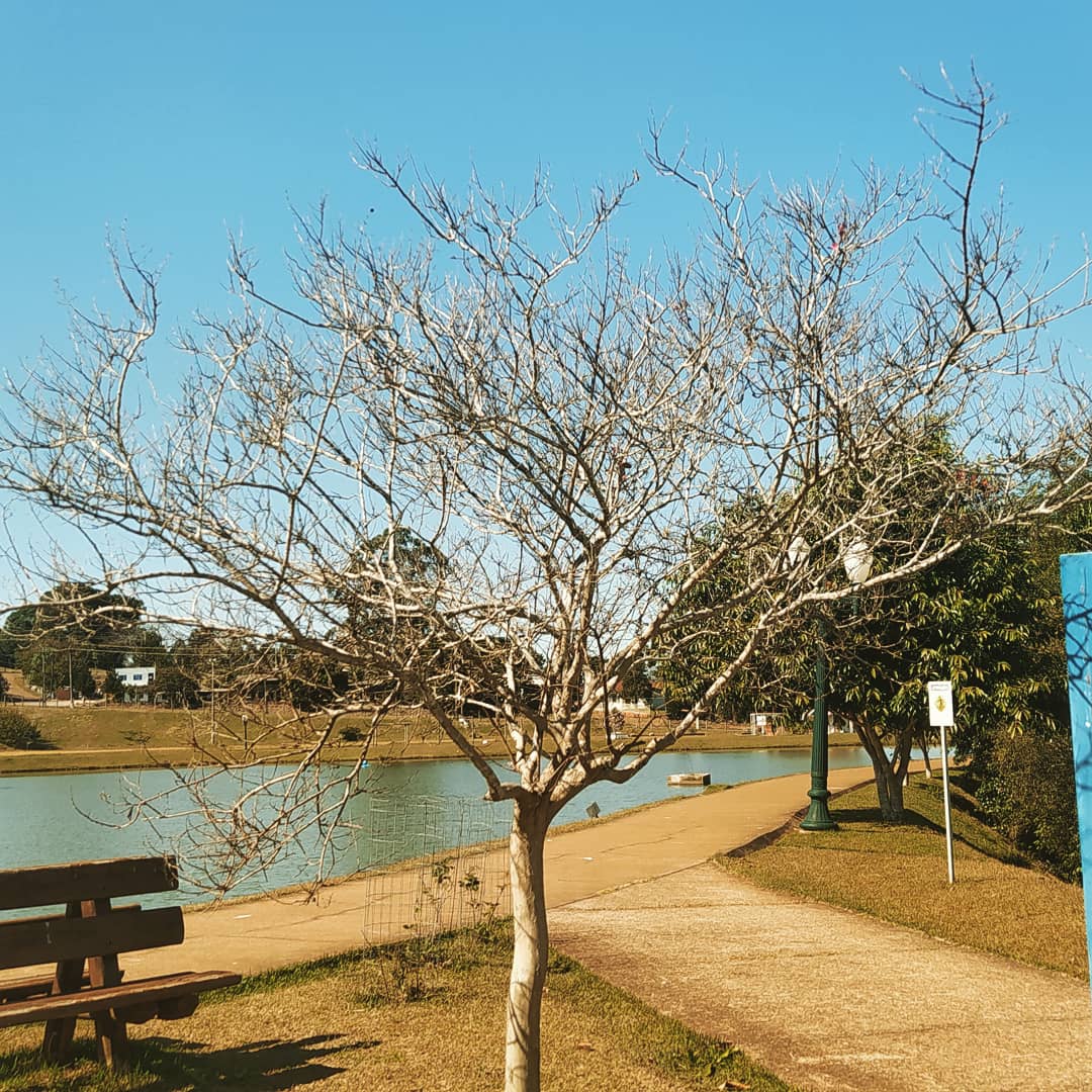 Parque do lago de Mamborê - Paraná