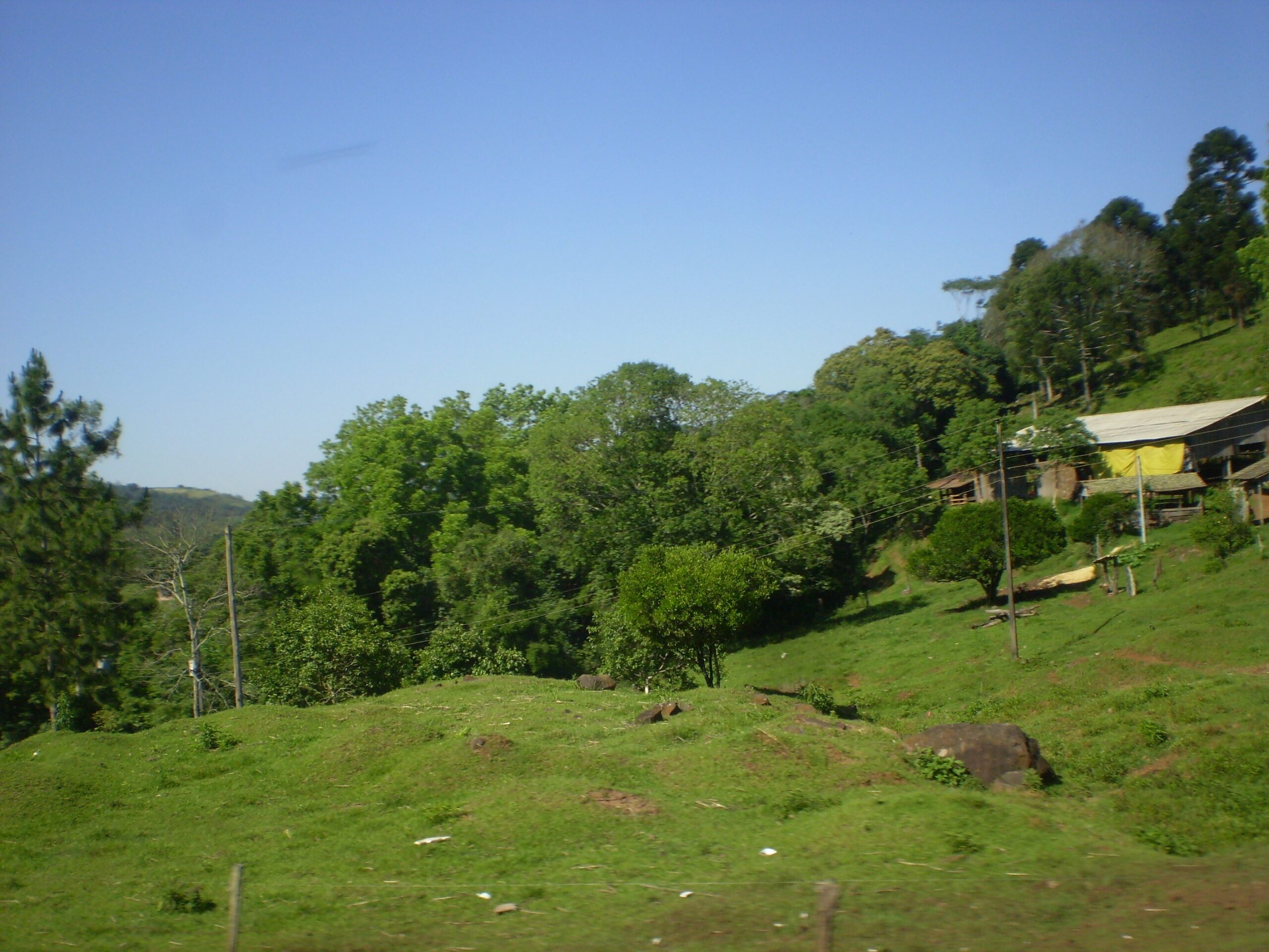 Rio Grande do Sul