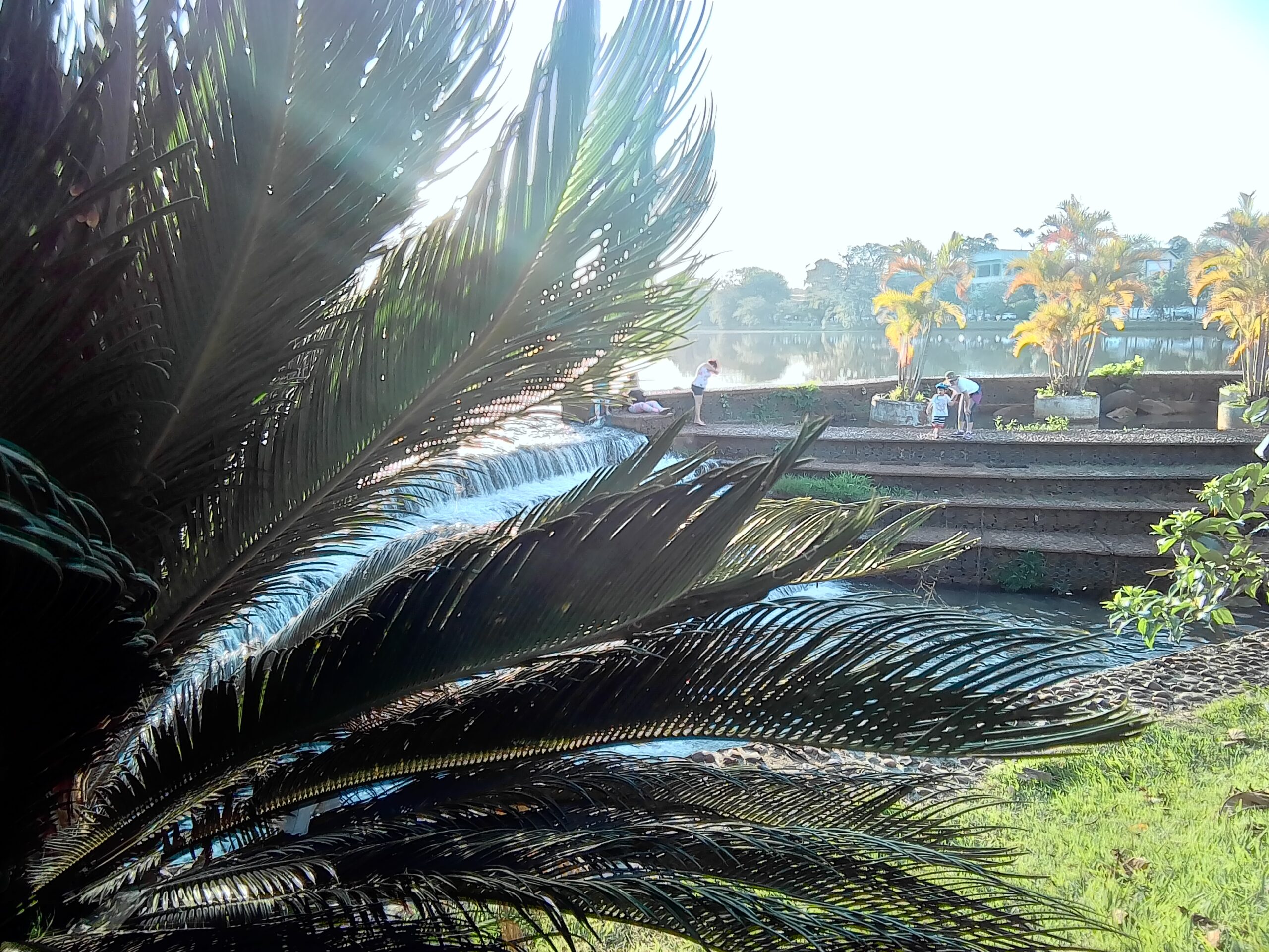 Londrina