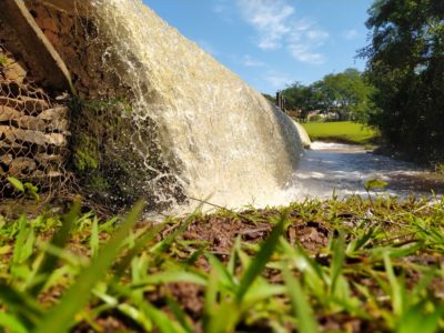 A cidade e o verde: desafios e possibilidades