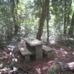 Bancos distribuídos no Parque Municipal Teodoro de Oliveira