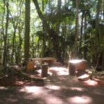 Bancos distribuídos no Parque Municipal Teodoro de Oliveira