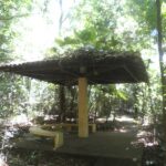 Bancos distribuídos no Parque Municipal Teodoro de Oliveira
