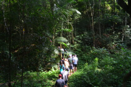 Caminhadas na Natureza previstas em 2023