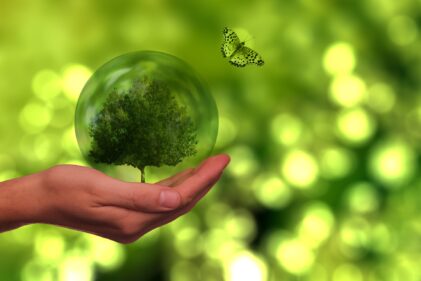 ESG e o Mercado de Carbono: Reflexões do 1º Seminário do CRT-04